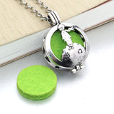 Aroma Diffuser Necklace