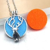 Aroma Diffuser Necklace